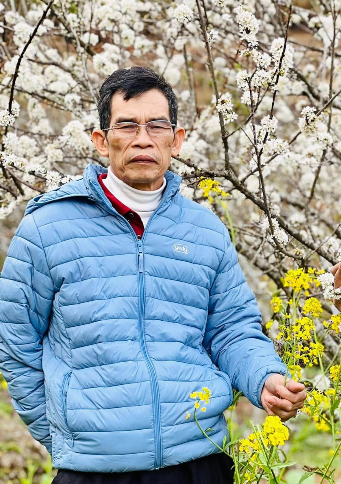 Hình ảnh của Yên Tran